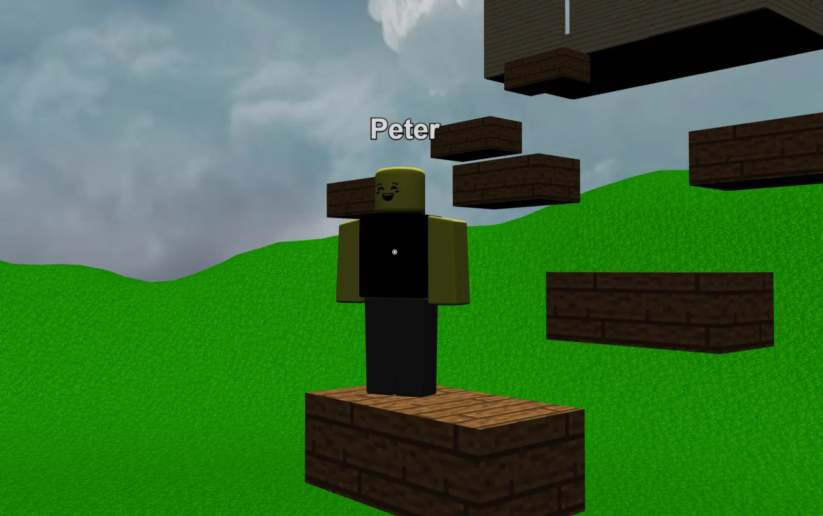 A multiplayer session in Plaidia with several players in the same game